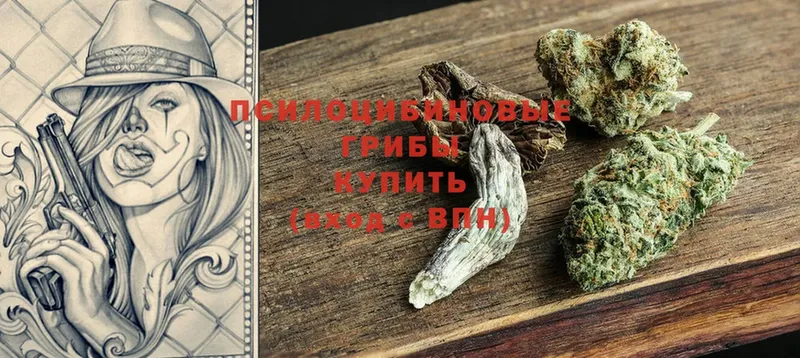 Псилоцибиновые грибы MAGIC MUSHROOMS  купить наркотик  Кизел 